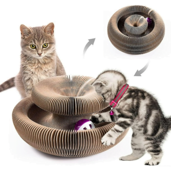 01c9e104c48d1d4d92cf1955052a968a