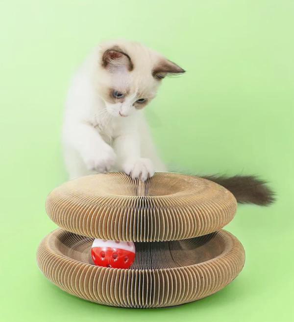 Capturadetela2024 04 09225057