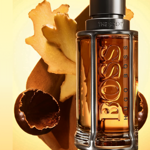 Designsemnome 2024 04 11T144509.316