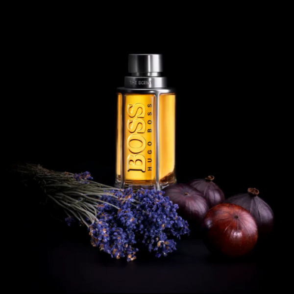 Designsemnome 2024 04 11T144648.412