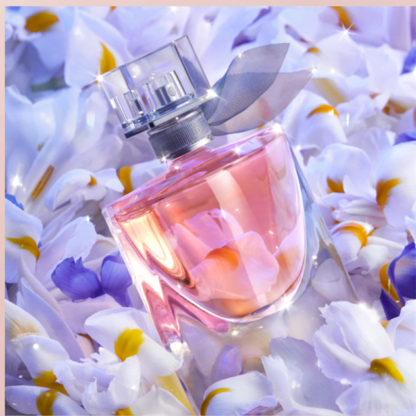 Designsemnome 2024 04 11T155600.158