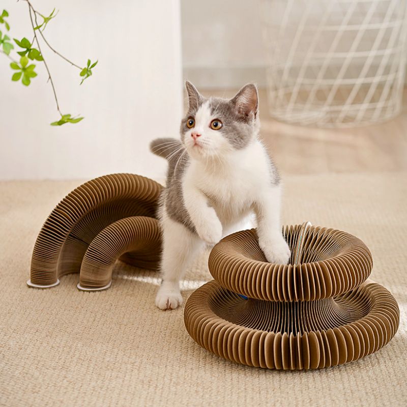 Griffoir pour chat2 886b1164 5c29 4fde a9fb 6a9b496e1cdb