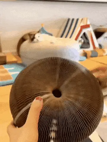 ezgif 2 3538941593 480x480 ezgif.com gif to webp converter