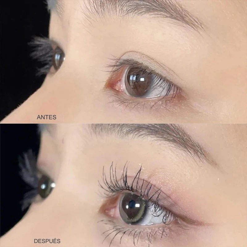 translated image es 2024 09 16T101744.431