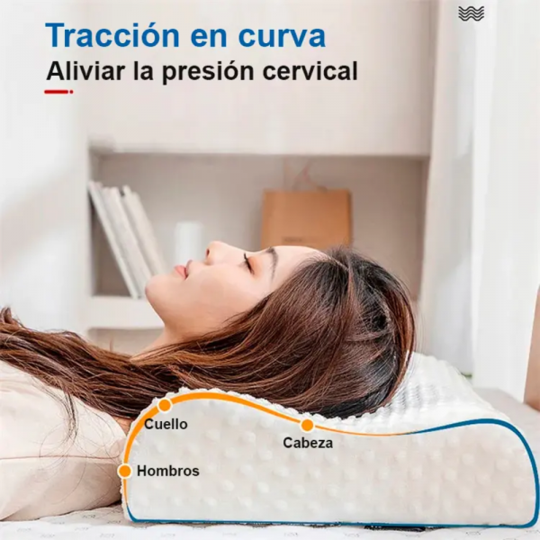 Design sem nome 2024 10 11T165737.366 1