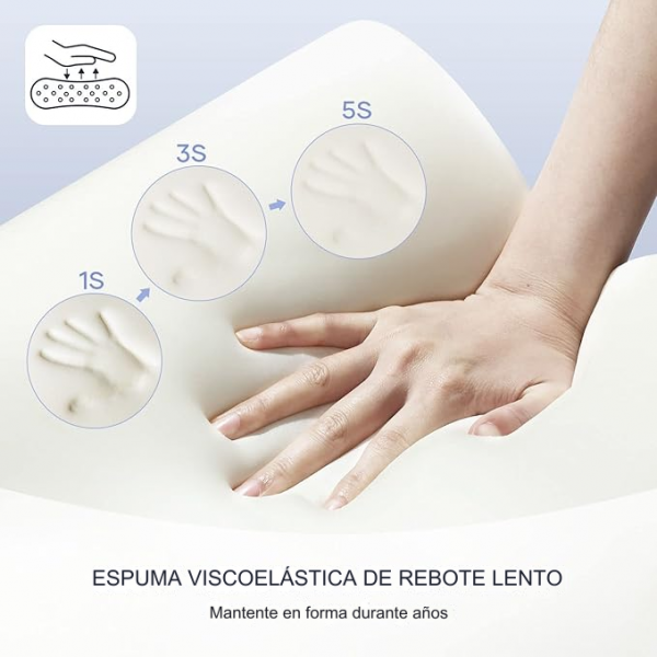 translated image es 2024 10 24T120725.975