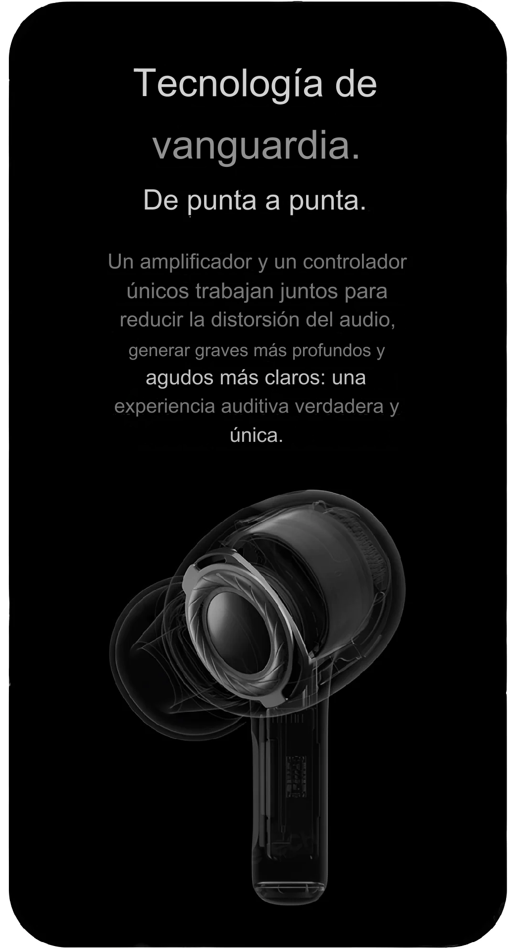 translated image es 2024 10 24T144237.402