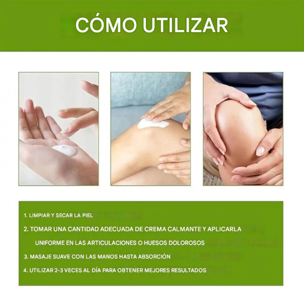 translated image es 2024 11 29T172833.323