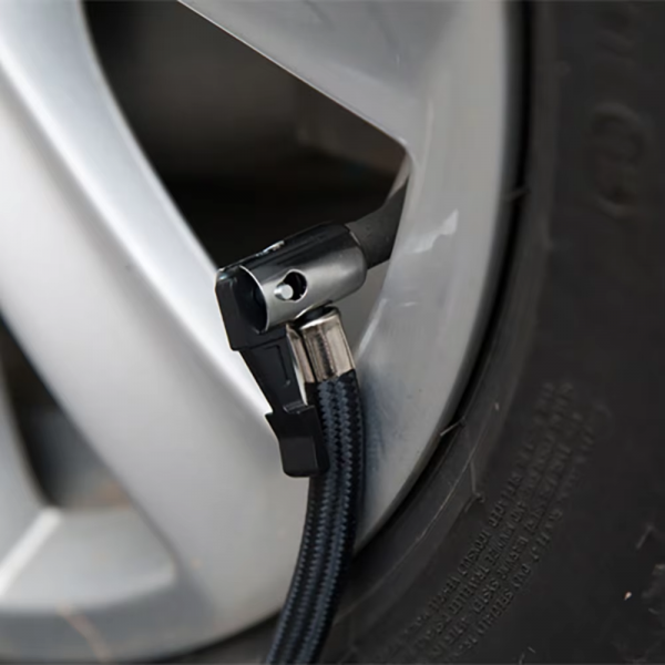 Design sem nome 2024 12 18T164232.145