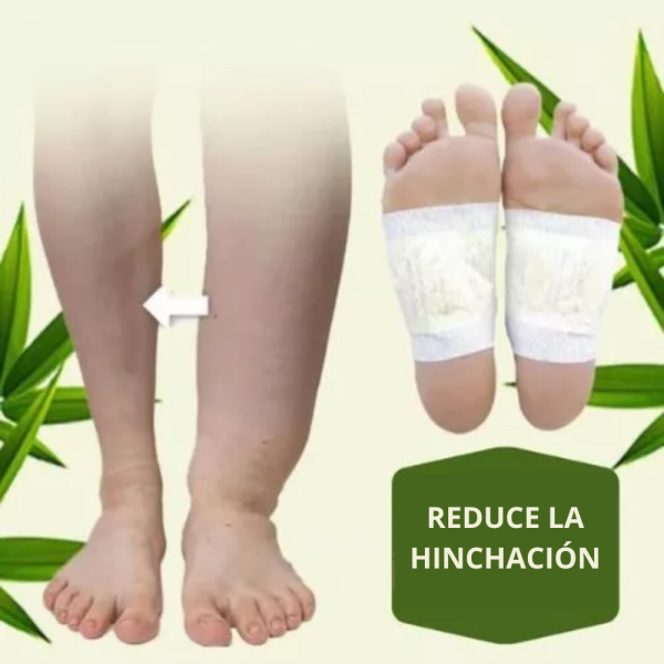 Inserir um titulo 12