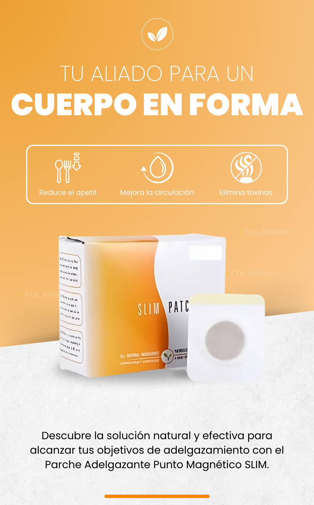 LP PATCH DE EMAGRECIMENTO VICENTE PART 1