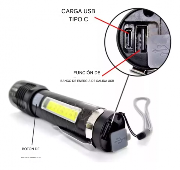 translated image es 2024 12 06T174504.290