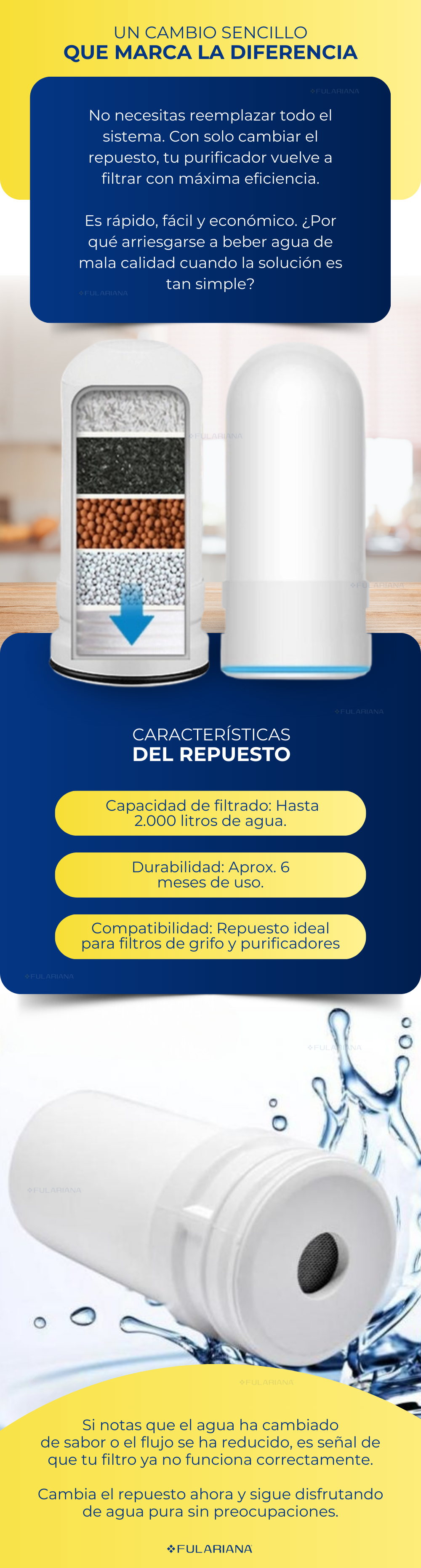 2 LP PURIFICADOR VICENTE