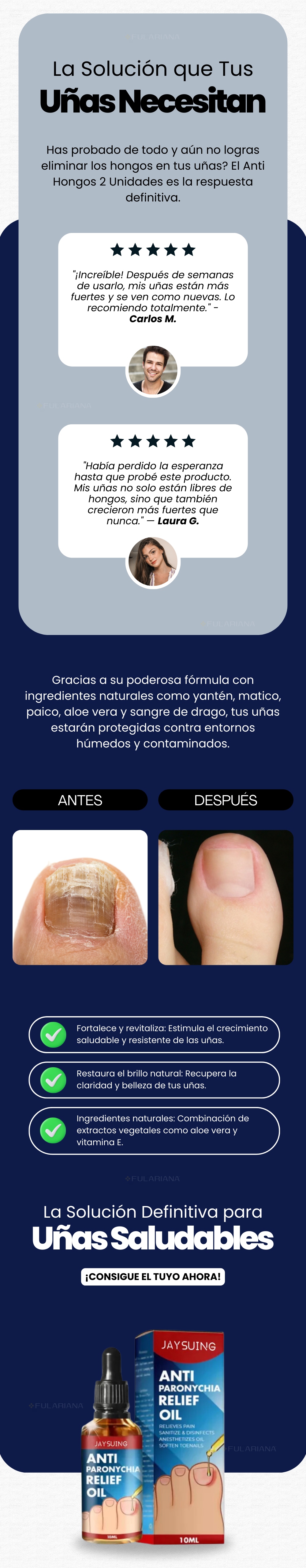 LP ANTIFUNGOS VICENTE PART 2