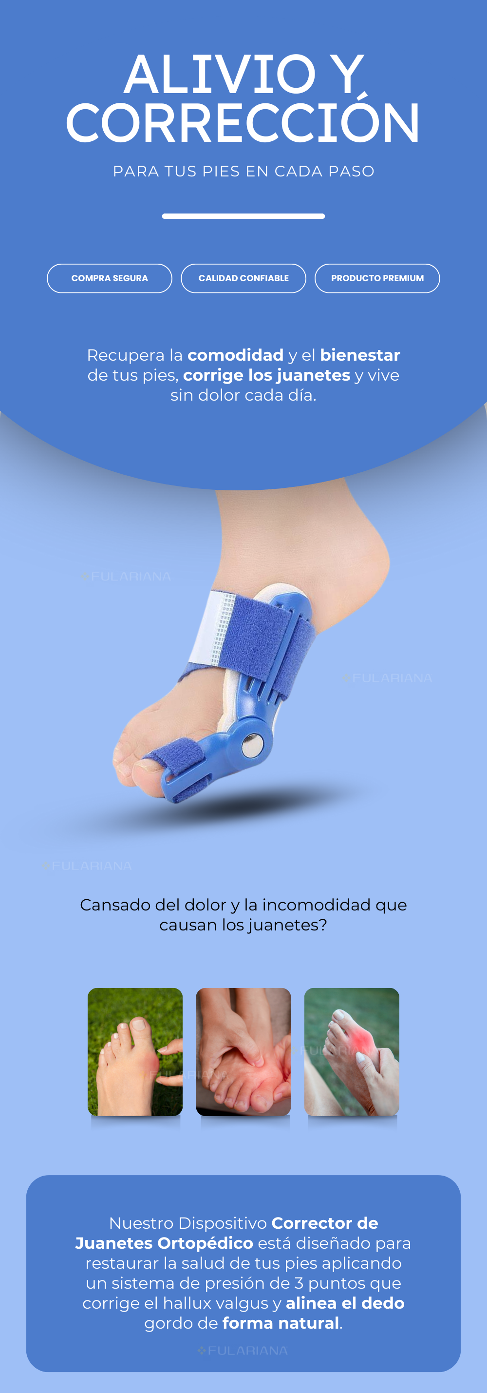 LP JUANETE PLASTICO VICENTE PART 1