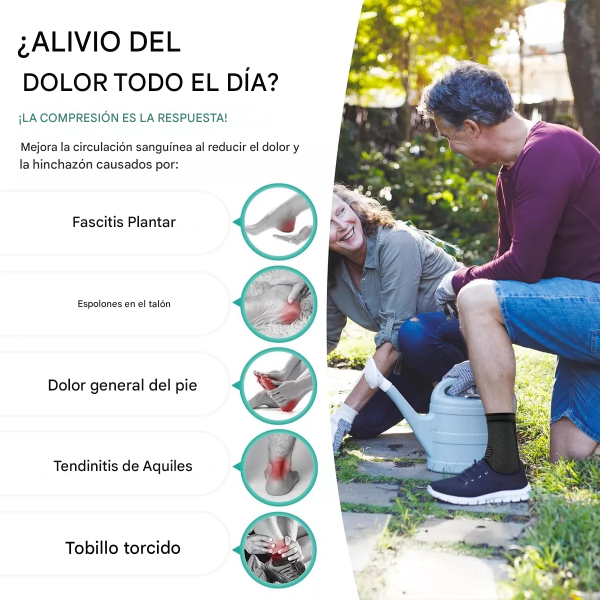 translated image es 2025 01 03T174042.729