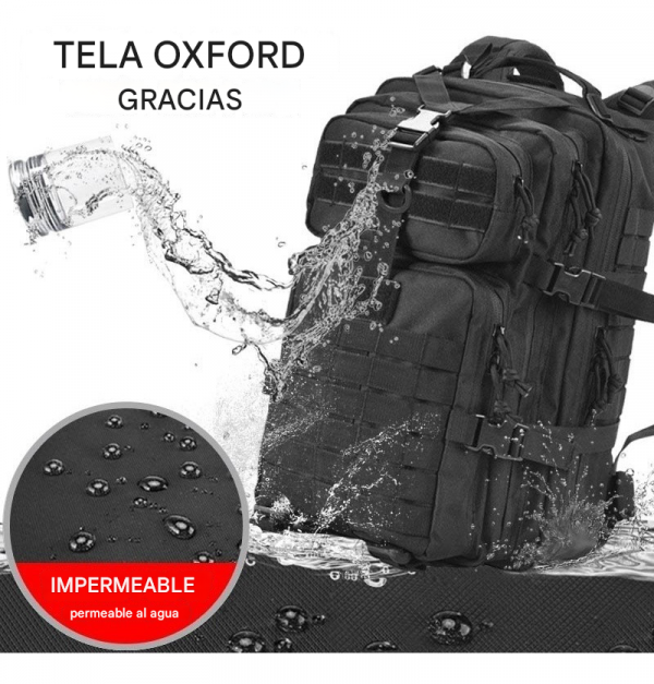 translated image es 2025 02 19T170438.453