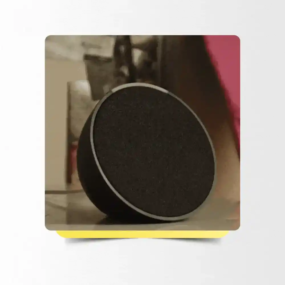 GIF2ALEXAECHOPOPVICENTE ezgif.com optiwebp