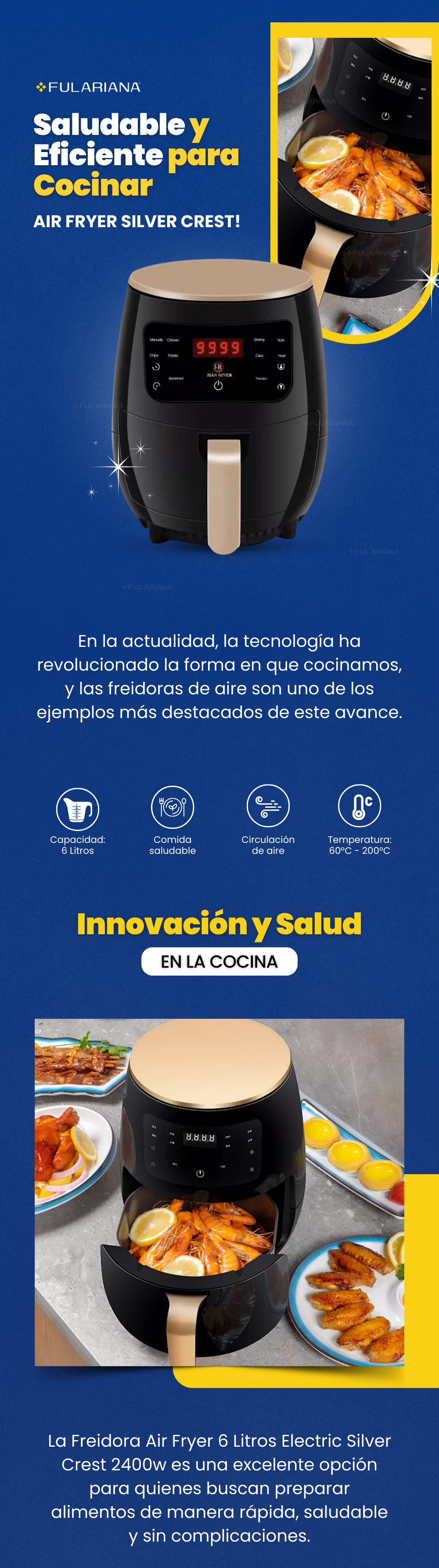 LP AIR FRYER VICENTE PART 1