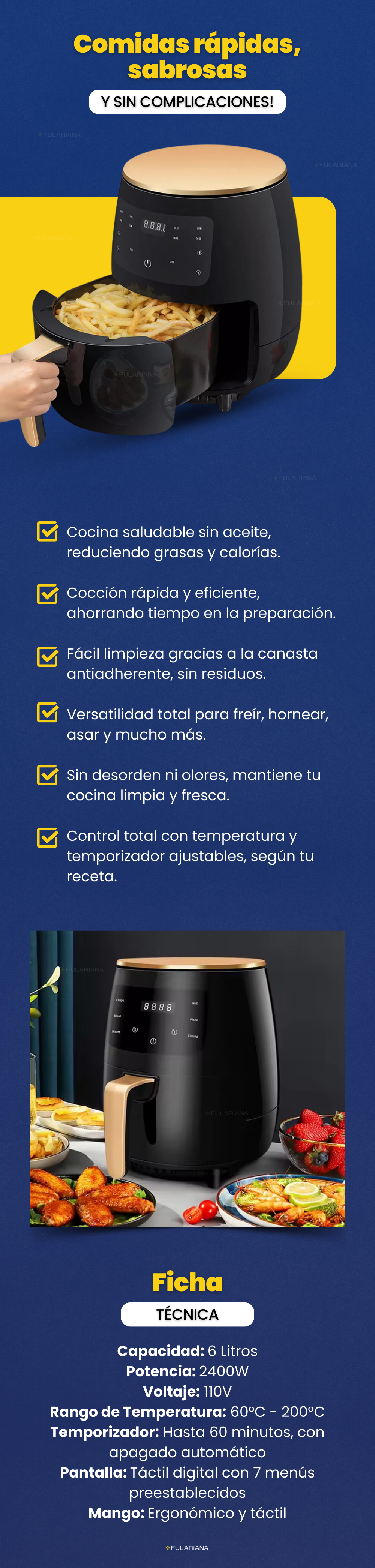 LP AIR FRYER VICENTE PART 2