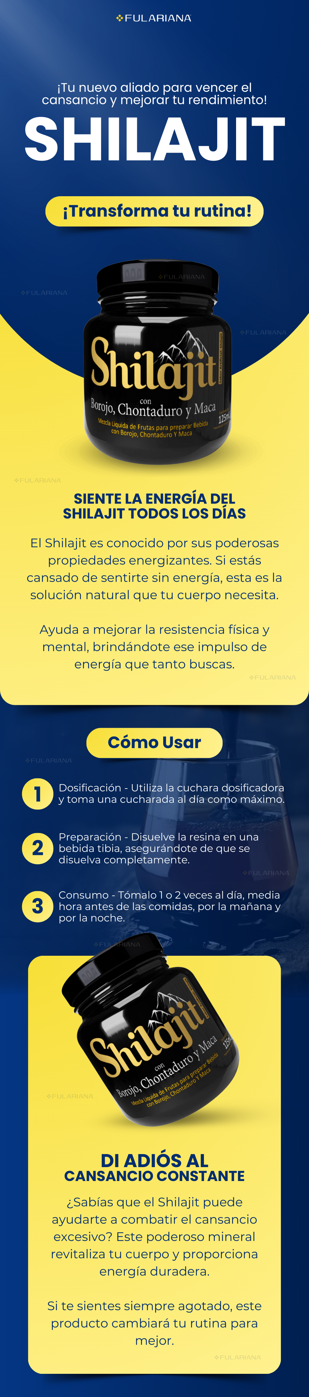 Shilajit 125ml 13 1 LP SHILAJIT VICENTE