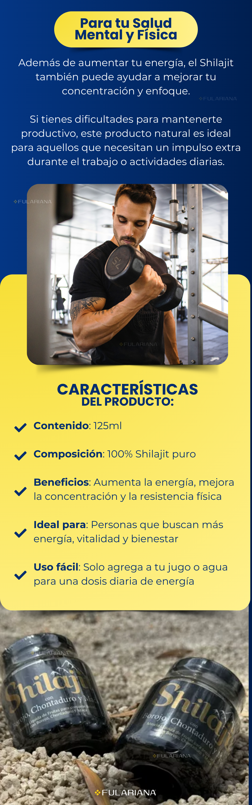 2 LP SHILAJIT VICENTE