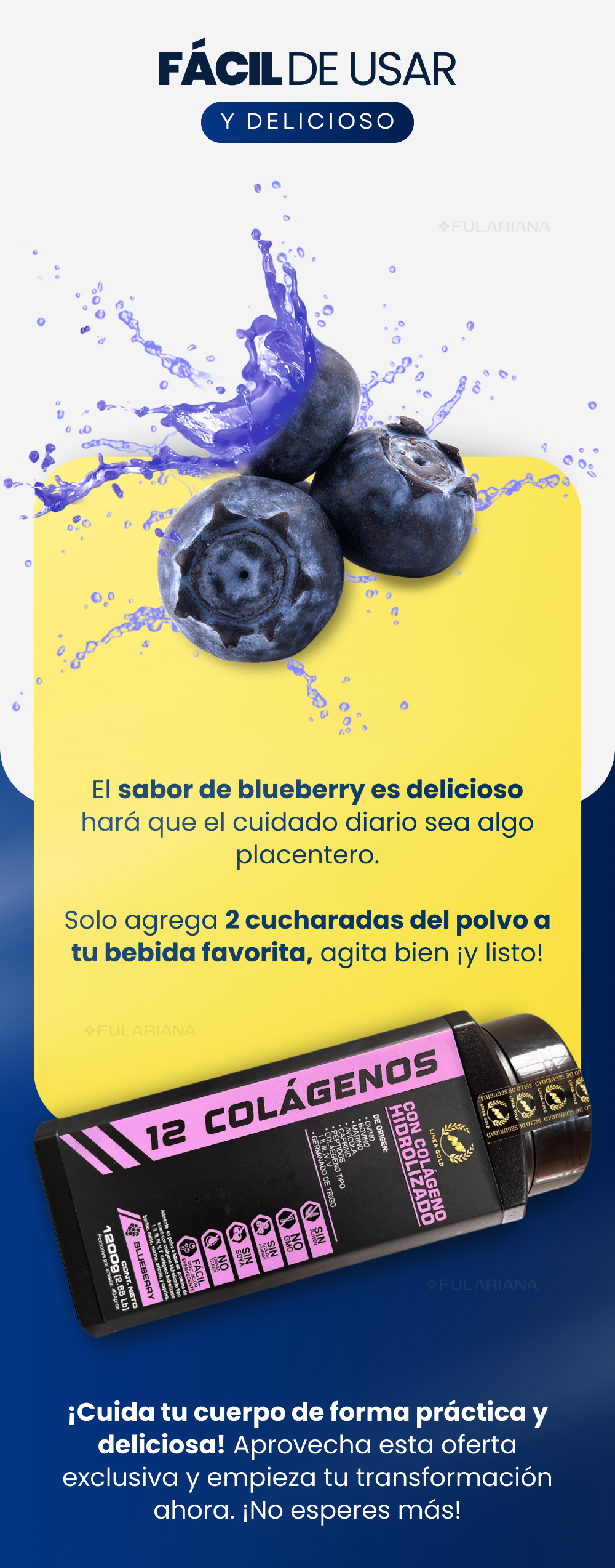 LP2 12 COLAGENOS VICENTE