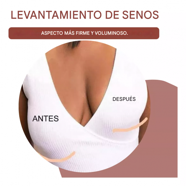 translated image es 2025 04 01T142404.541